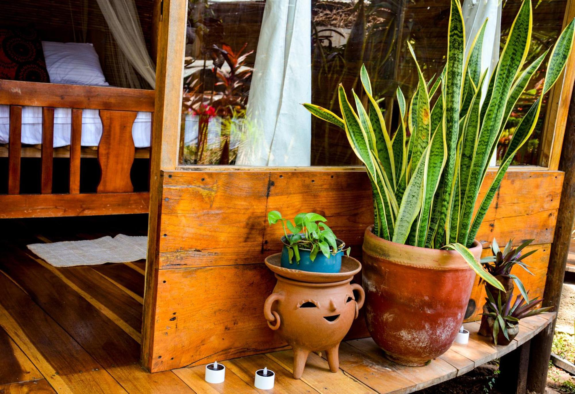 Casa Caracola Hotel Granada Buitenkant foto